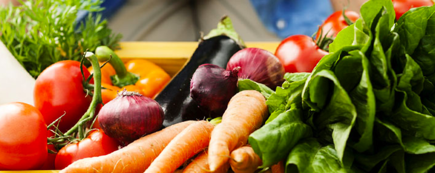 The BC Food Security Gateway resources, networking, funding